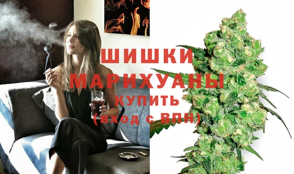 шишки Новодвинск