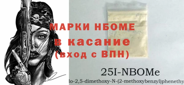 шишки Новодвинск