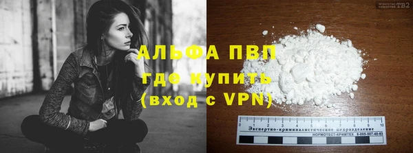 шишки Новодвинск