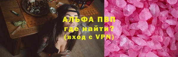 шишки Новодвинск
