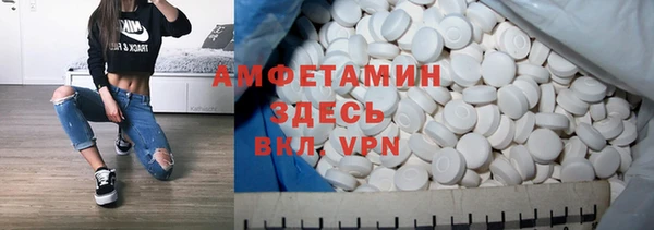 шишки Новодвинск