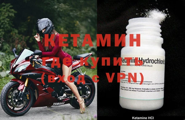 шишки Новодвинск