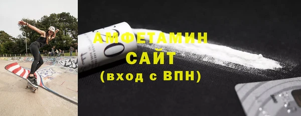 шишки Новодвинск