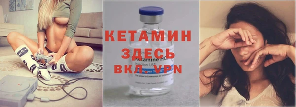 шишки Новодвинск