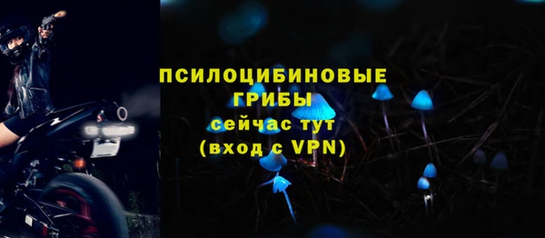 MDMA Новозыбков