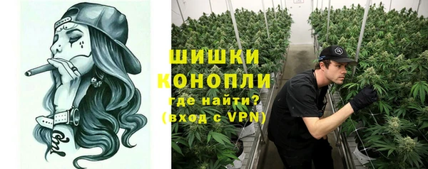 шишки Новодвинск