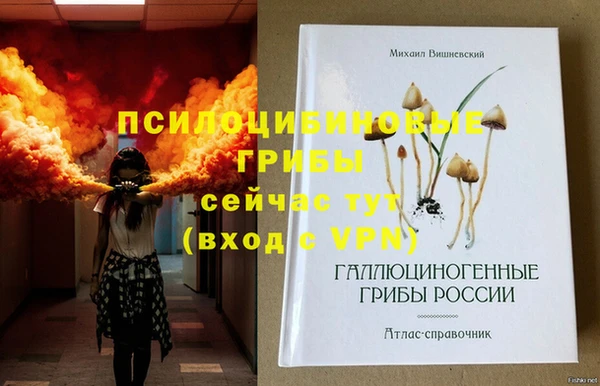 шишки Новодвинск