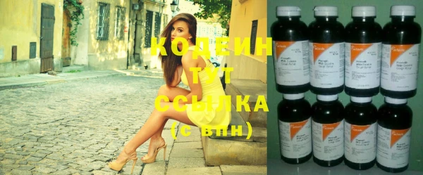 шишки Новодвинск