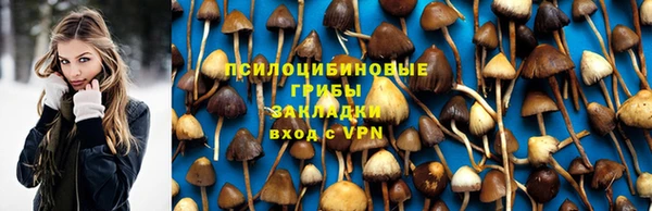 MDMA Новозыбков