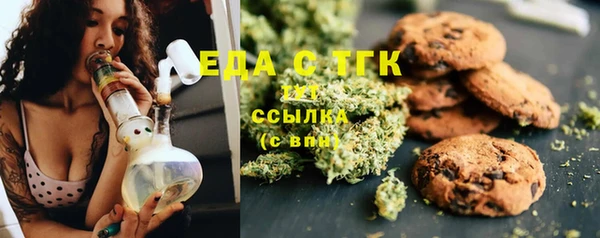 шишки Новодвинск