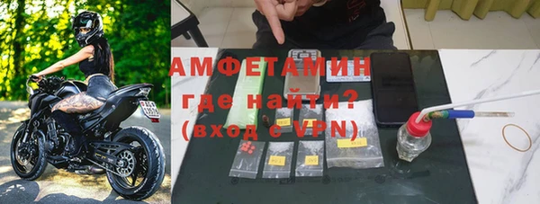 шишки Новодвинск