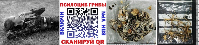 магазин Ярославль Псилоцибиновые грибы Magic Shrooms